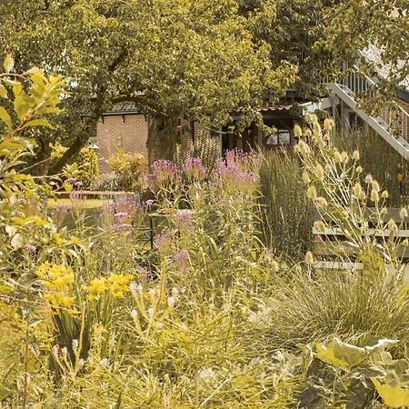 Ben In Broek Bed & Breakfast Benningbroek