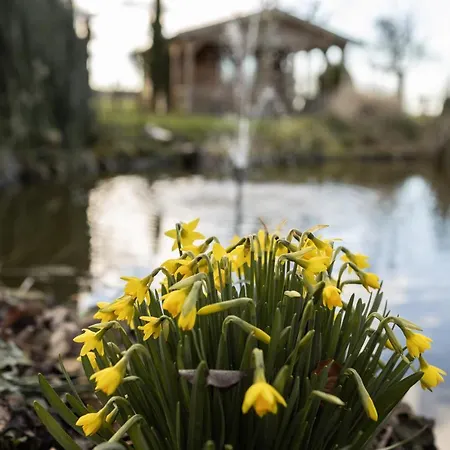 Ben In Broek Benningbroek