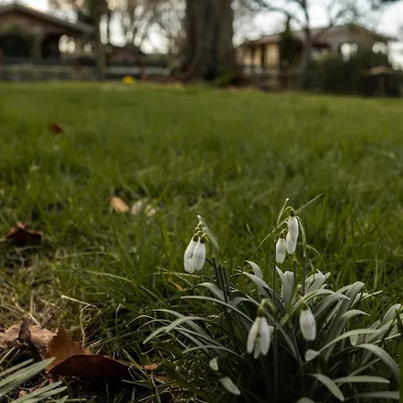 Bed & Breakfast Ben In Broek