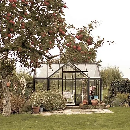 Bed & Breakfast Ben In Broek Benningbroek