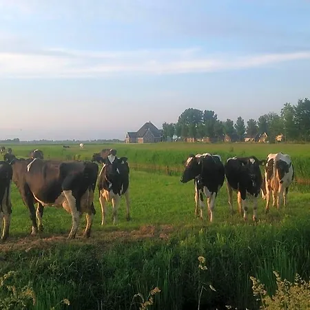 Ben In Broek 3* Benningbroek