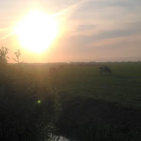 Ben In Broek Benningbroek