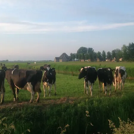 Bed & Breakfast Ben In Broek