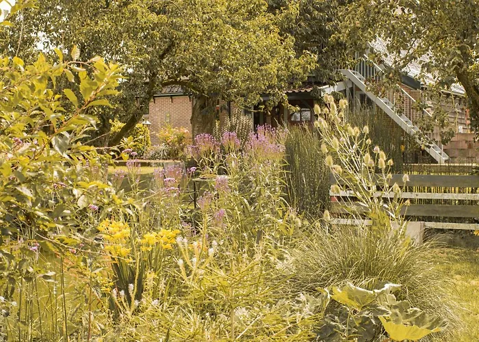 Ben In Broek לינה וארוחת בוקר Benningbroek