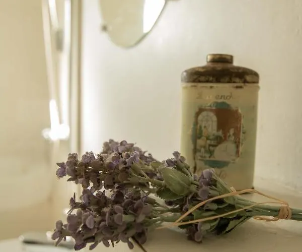 לינה וארוחת בוקר Ben In Broek 3*