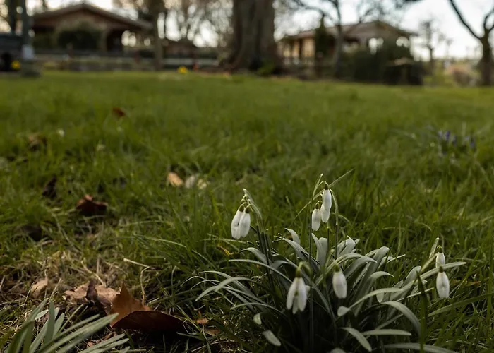 לינה וארוחת בוקר Ben In Broek