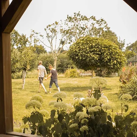 לינה וארוחת בוקר Ben In Broek