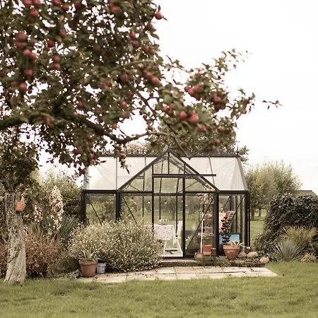 Bed & Breakfast Ben In Broek Benningbroek