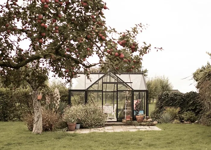 Bed & Breakfast Ben In Broek Benningbroek