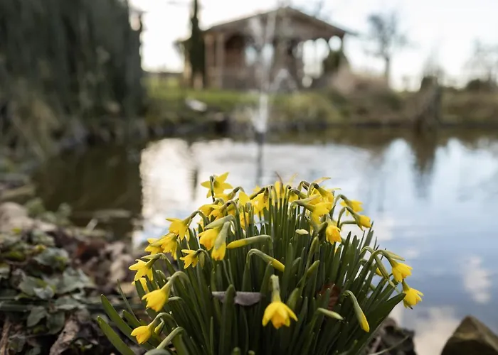 Ben In Broek Benningbroek