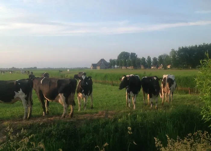 Bed & Breakfast Ben In Broek